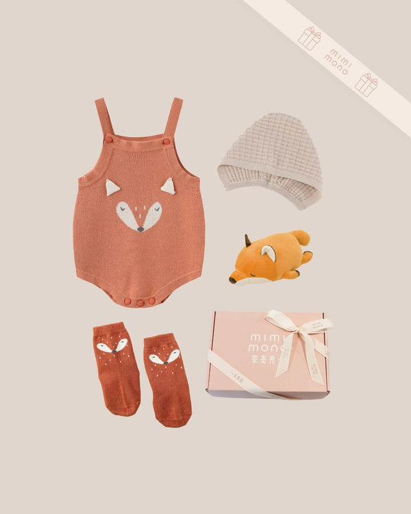 Fox Knitted Baby Gift Set