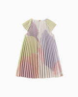 Fruity Retreat Butterfly Pleated Dress